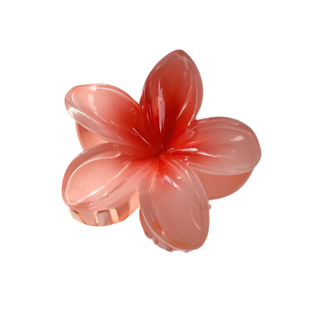 TAHITI 6 PCS BUNDLE HAIR CLIPS