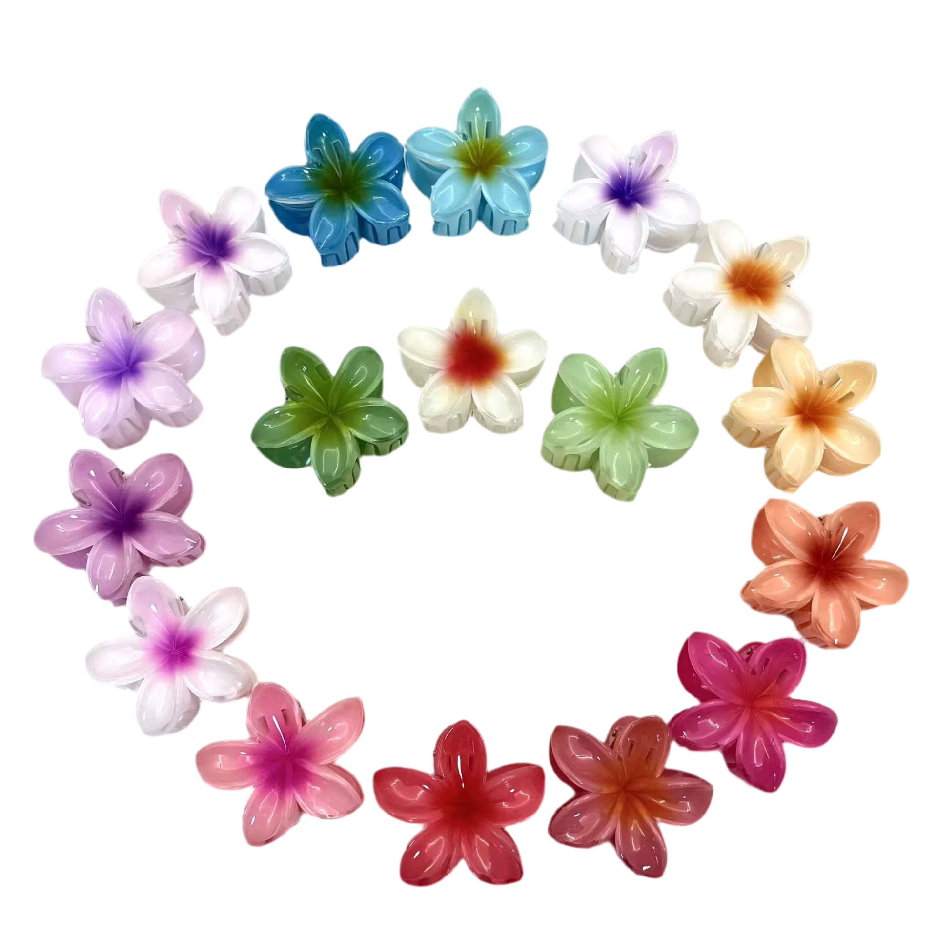 NOELANI 17 PCS HAIR CLIP SET