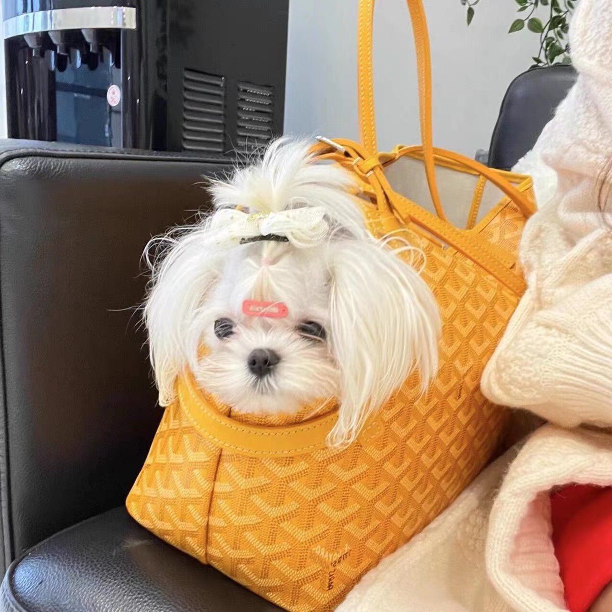 GOYARD PET CARRIER BAG