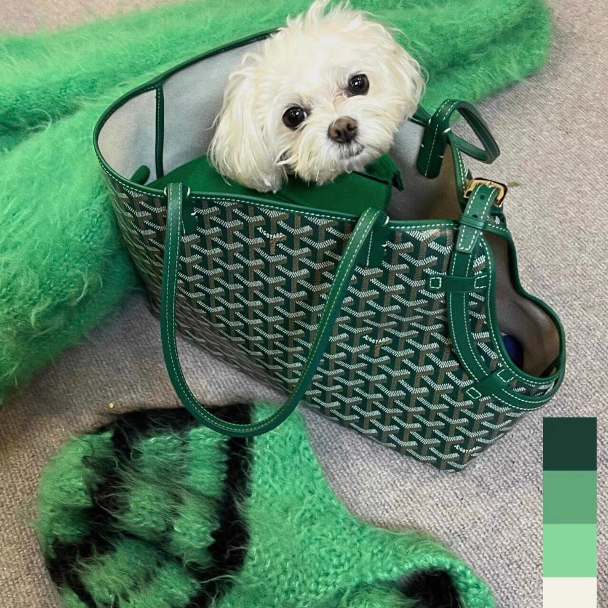 GOYARD PET CARRIER BAG