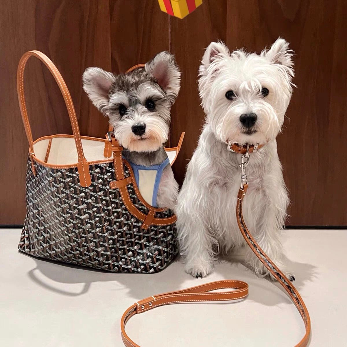 GOYARD PET CARRIER BAG