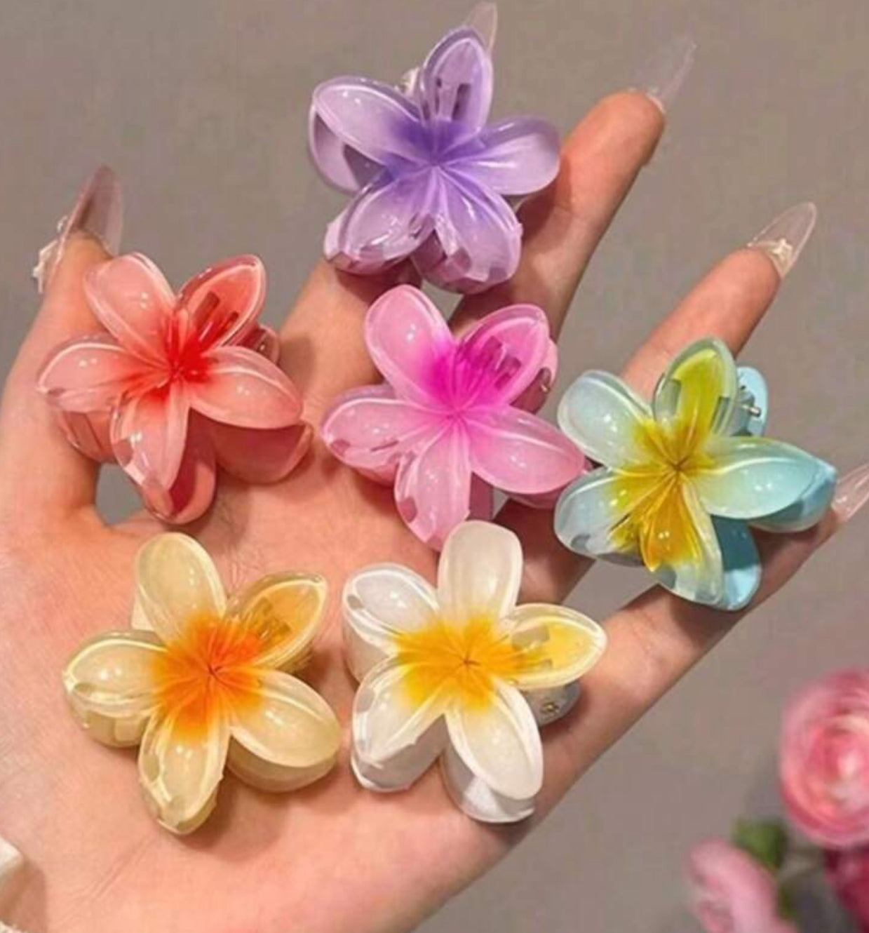TAHITI 6 PCS BUNDLE HAIR CLIPS