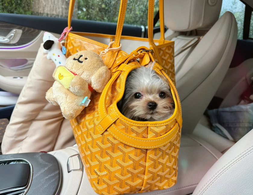 GOYARD PET CARRIER BAG